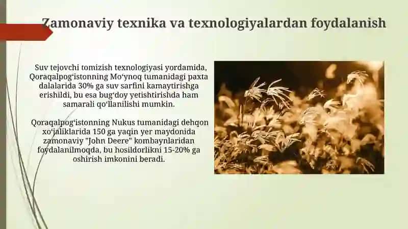 Qoraqalpog'iston kuzgi bug'doy yetishtirish texnologiyasi 4