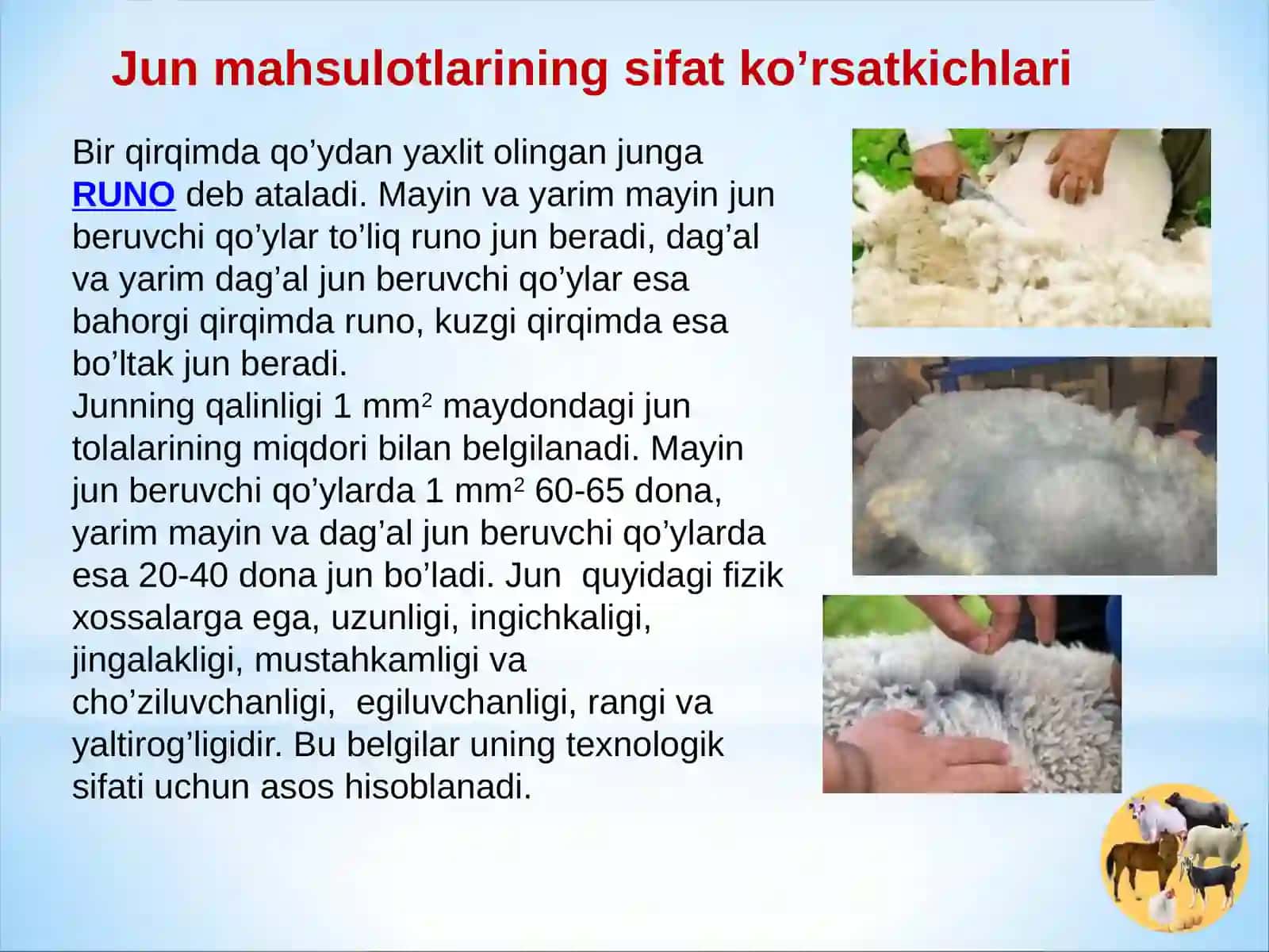 QO’YLAR MAHSULDORLIGI VA QO’YCHILIK MAHSULOTLARINI ISHLAB CHIQARISH TEXNOLOGIYASI 4