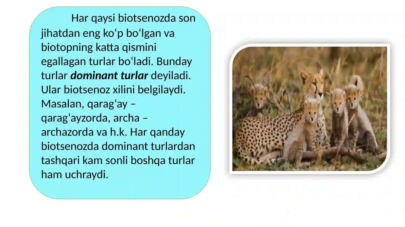 Biotsenozning turtarkibi 4