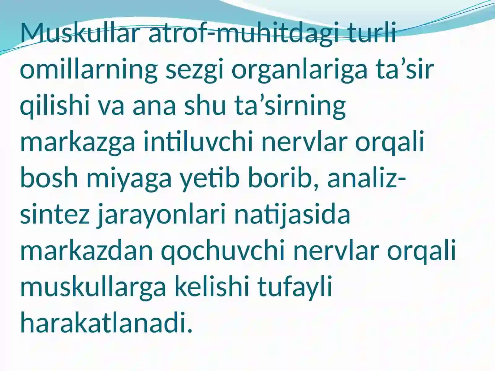Qo’zg’aluvchan muskullar umumiy fiziologiyasi 4