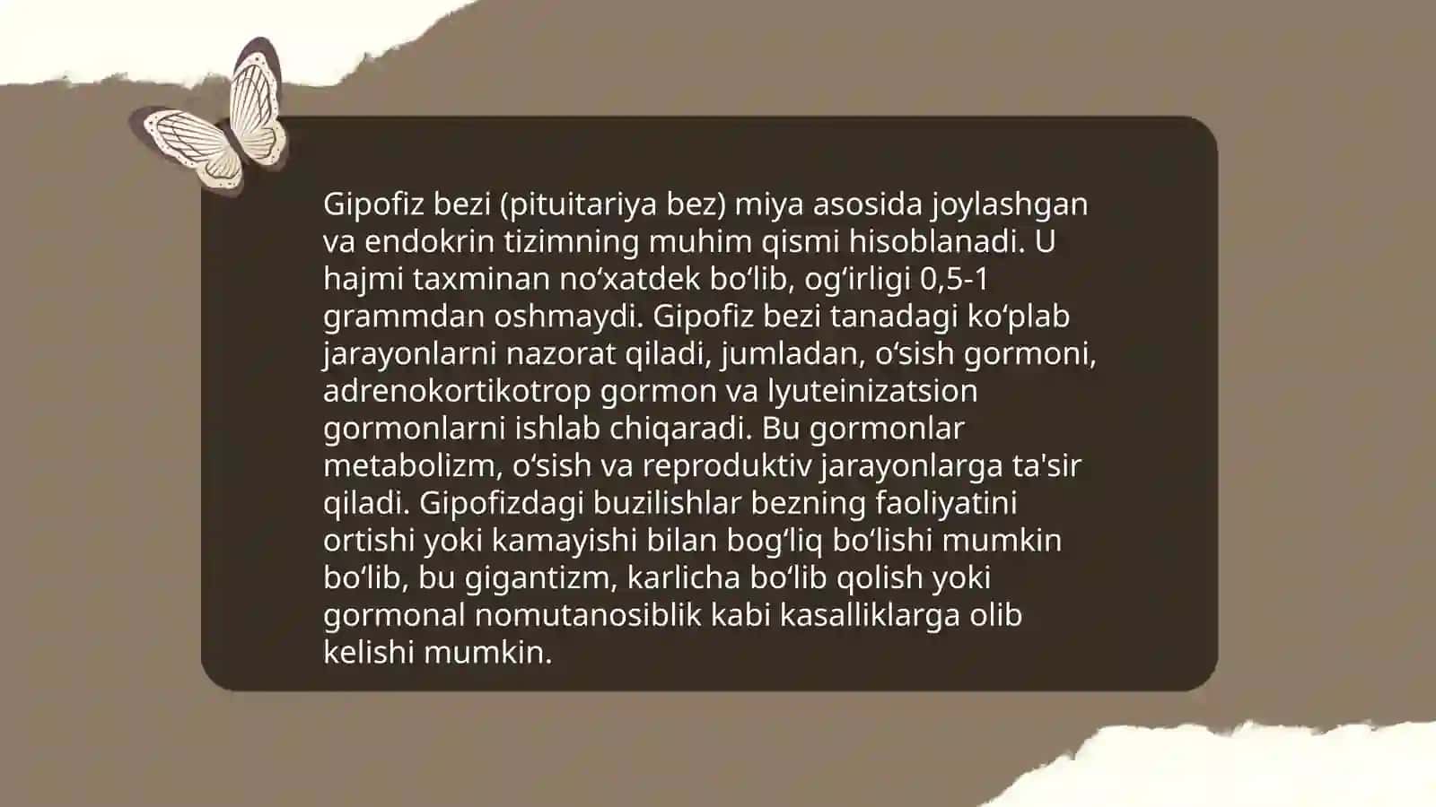 Endokrin sistema 4