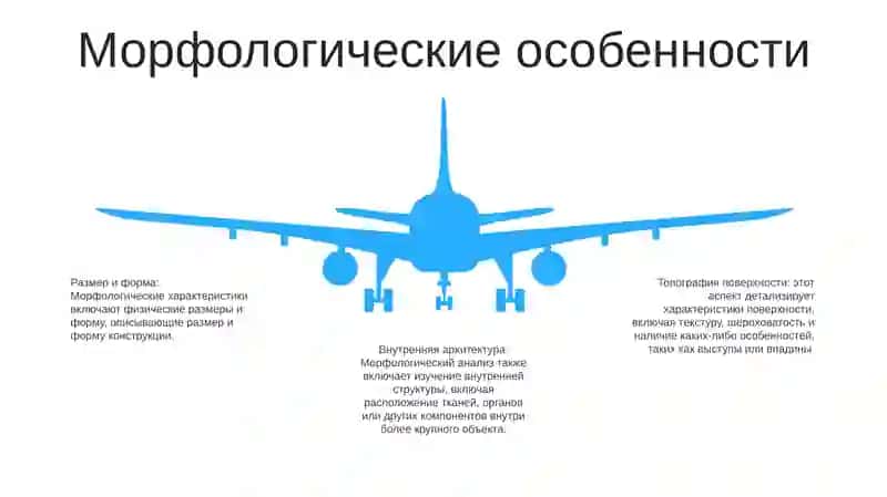 Морфология 4