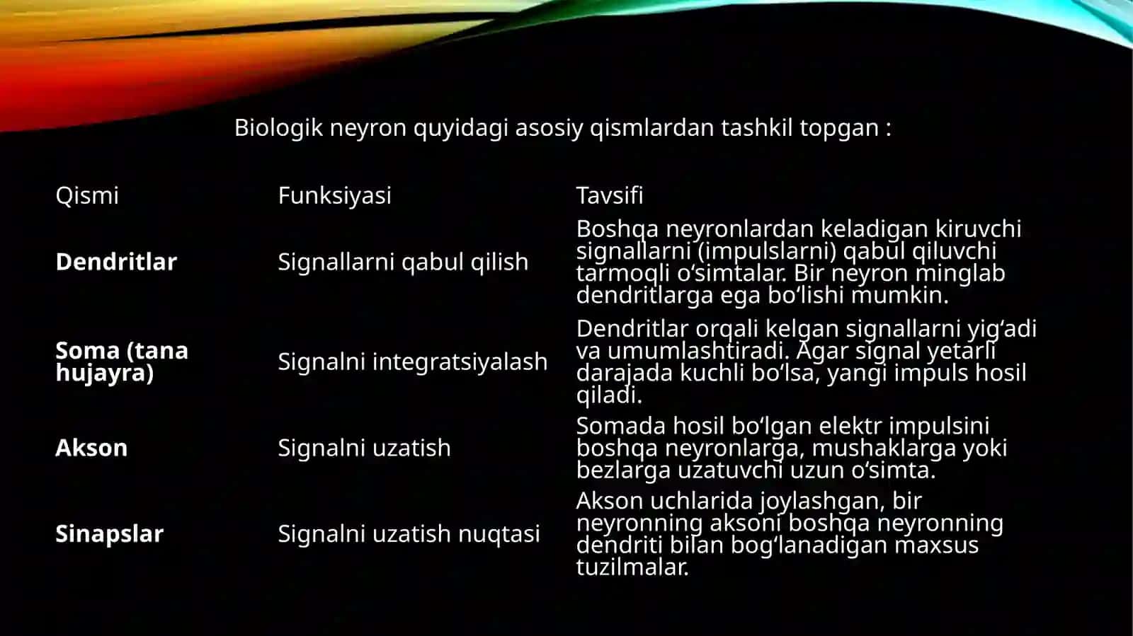 Biologik neyron va sun’iy neyron tarmoqlari 4
