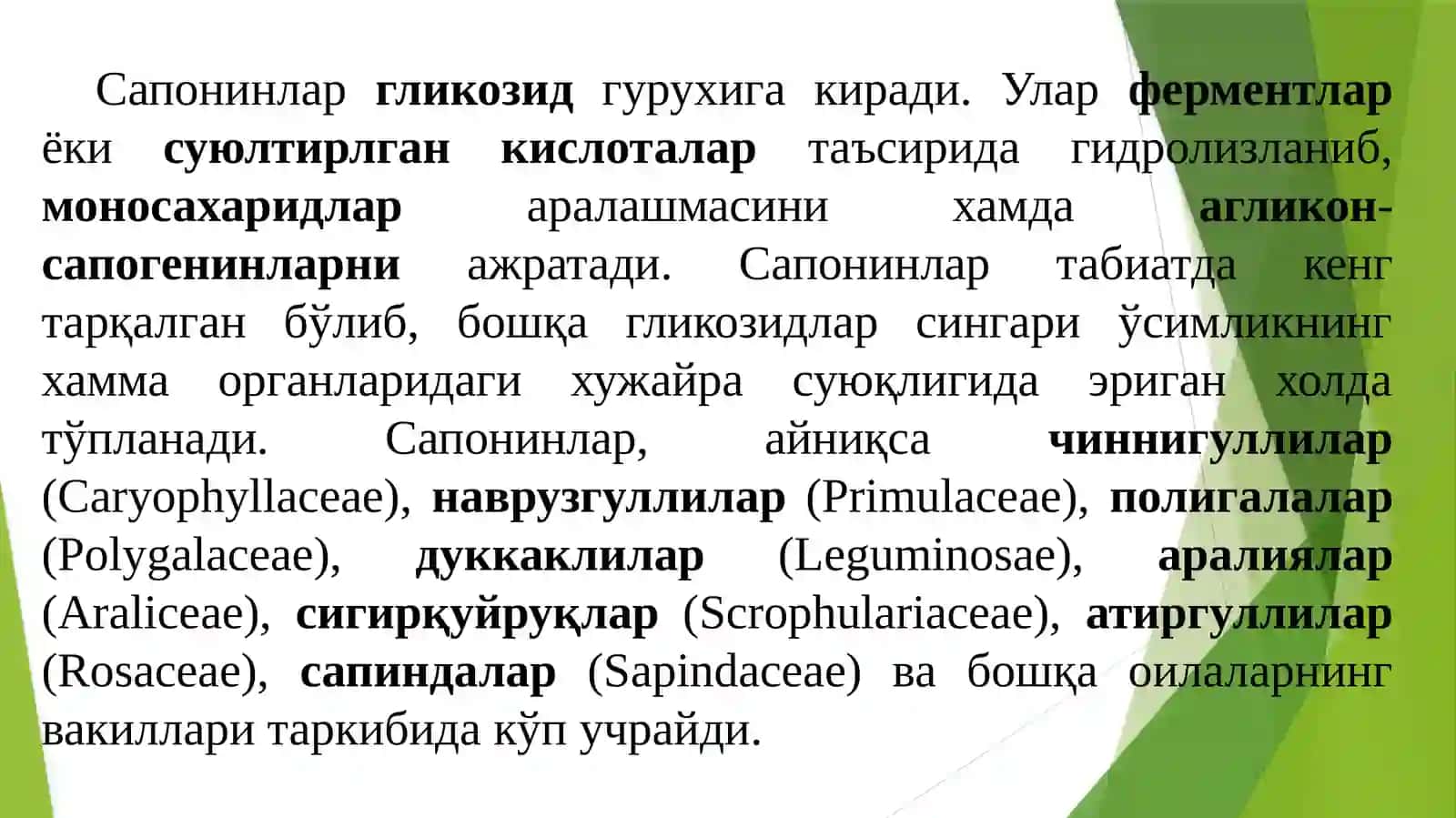 Таркибида сапонинлар бўлган доривор ўсимликлар 4