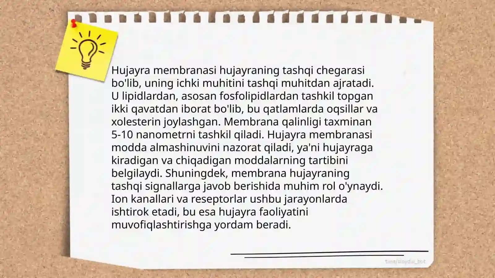 Hujayra 4
