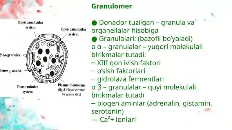 Trombotsitlar 4