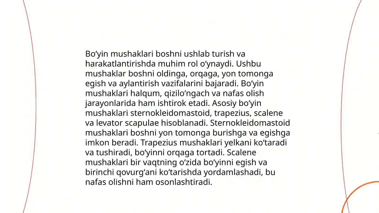 Boʻyin mushaklari, boʻyin uchburchaklari, fassiyalari 4