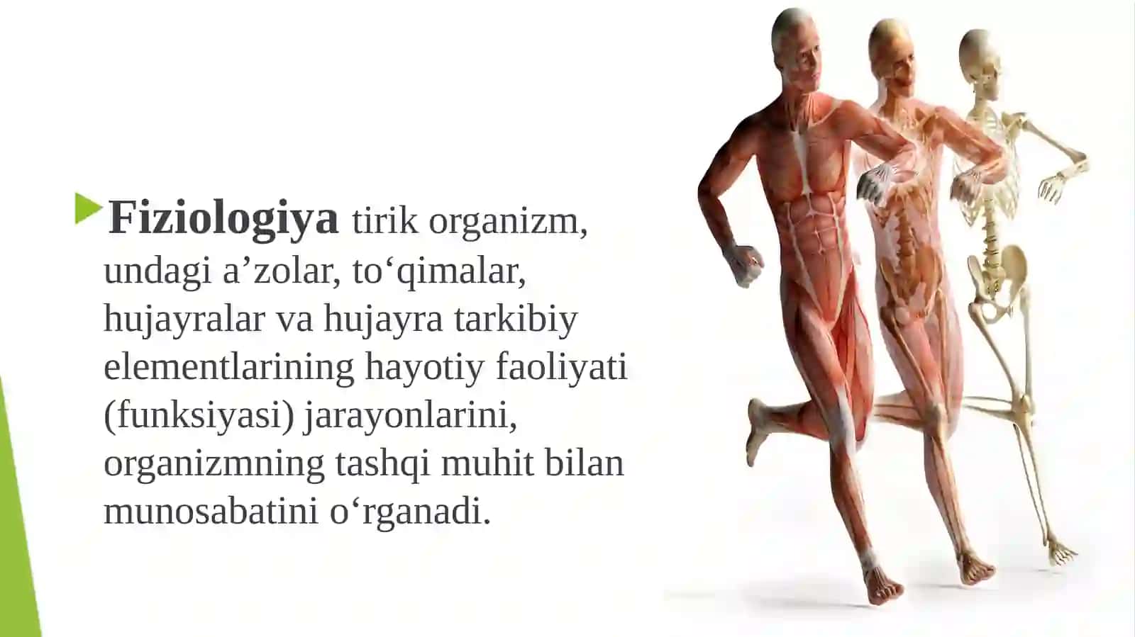 Fiziologiya kirish 4