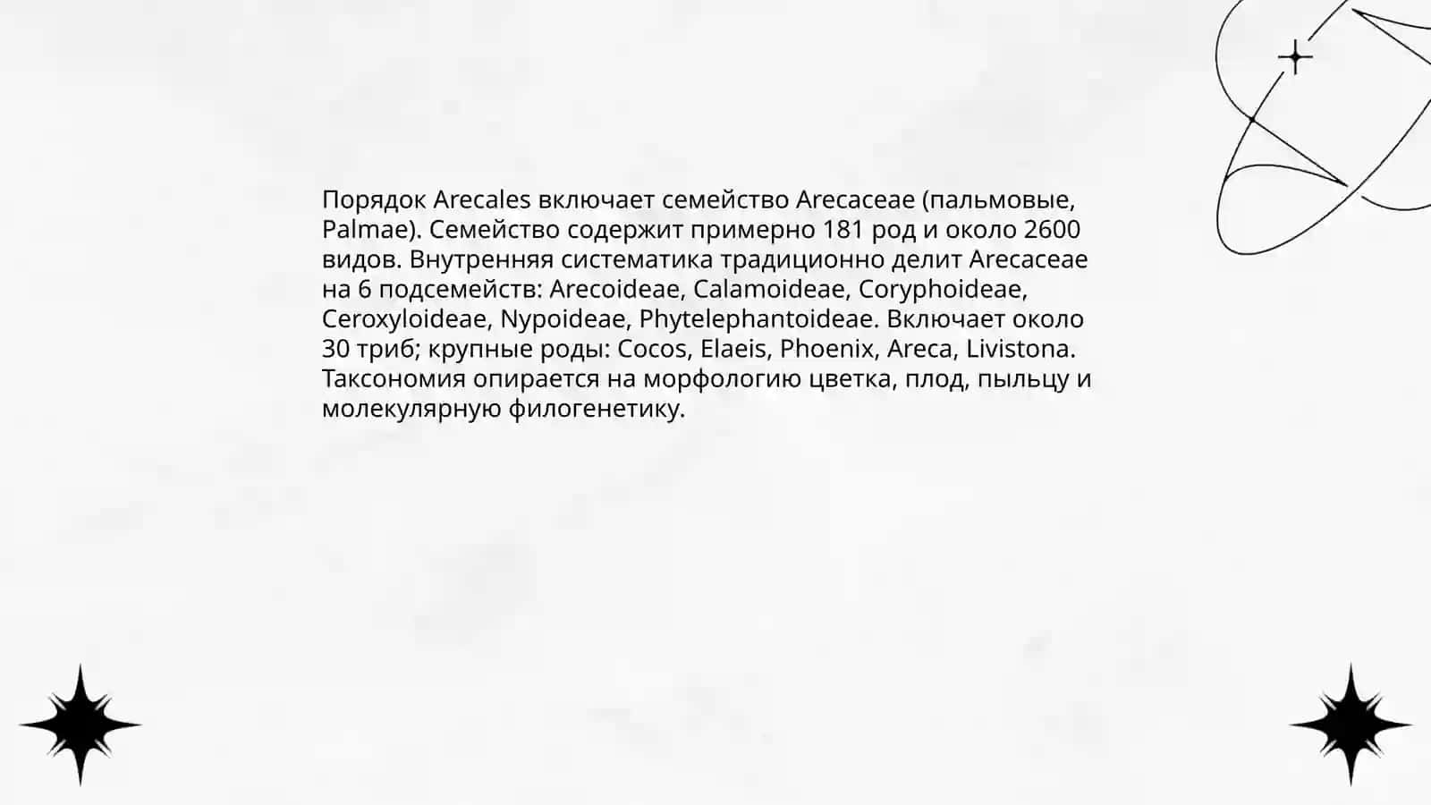 Семейства,характеристика и основные виды порядка пальмовые 4