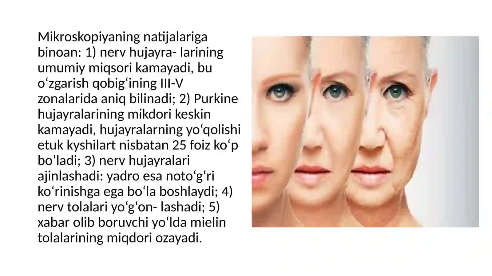 Biologik eksayish 4