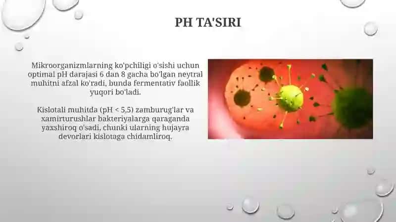 Mikroorganizmlarga tashqi muhit omillarining taʼsiri 4