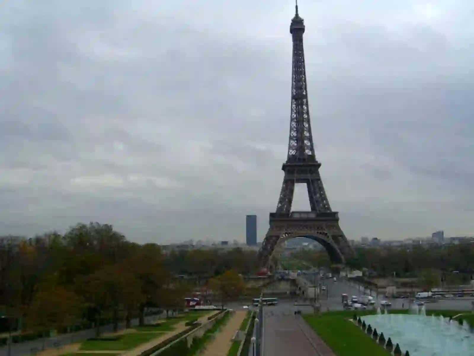 La vie en rose 4