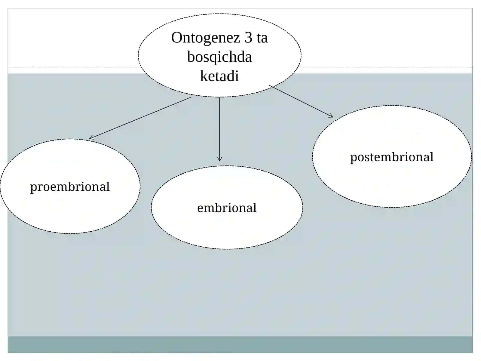 INDIVIDUAL RIVOJLANISHNING UMUMIY QONUNIYATLARI.ODAM A’ZOLARINING ONTO-FILOGENEZI 4