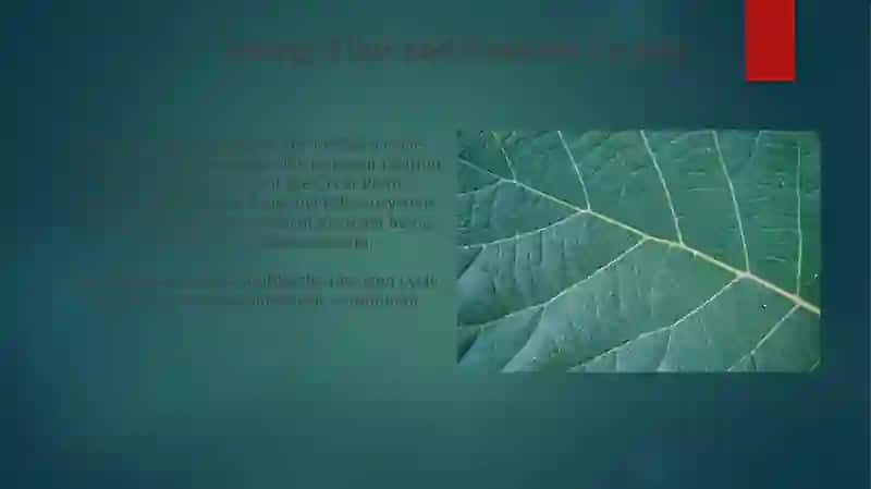 Ecology 4