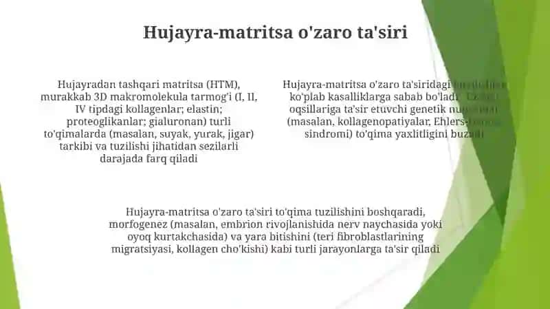 Hujayra va hujayradan tashqari matriks orasidagi munosabatlar 4