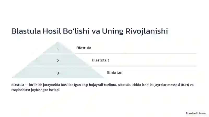 Odamlar embriologiyasi 4