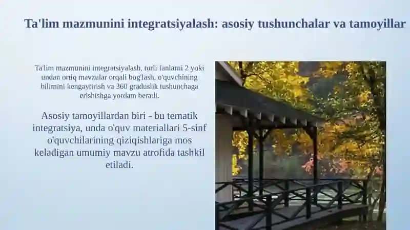 Integrasiyalashgan ta’lim pedagogika jarayonida ta’lim nazariyasi va mazmuni 4
