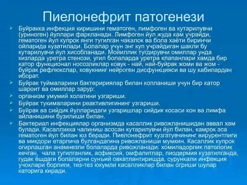 Пиелонефритлар 4