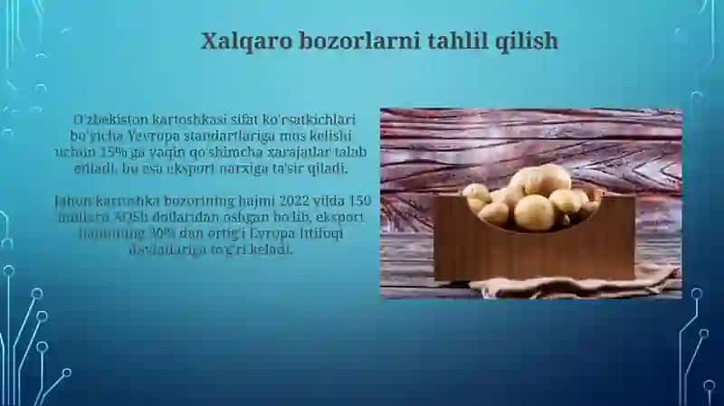 Kartoshka Eksporti Strategiyasi 4