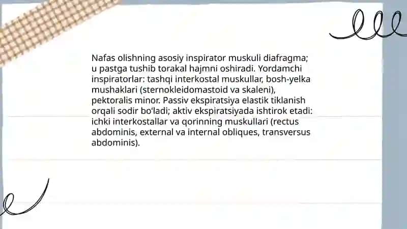 Xonandalik nafasi va fiziologik nafas orasidagi farqi 4