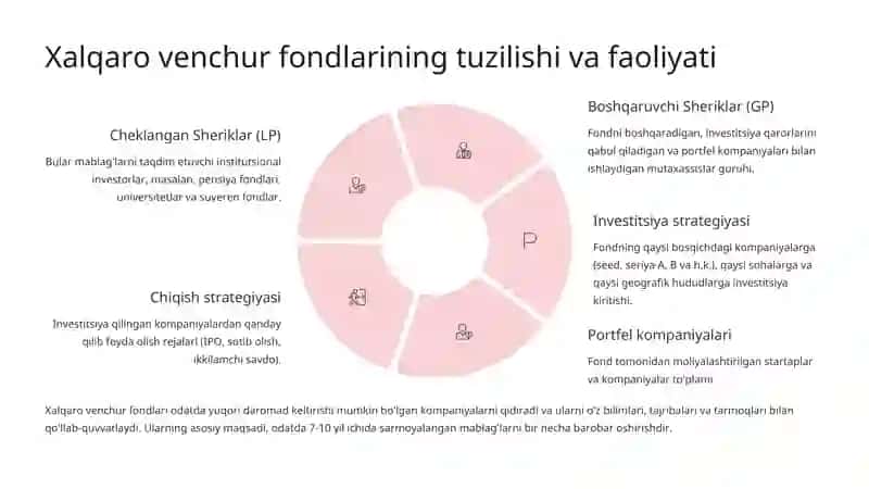 Venchur kapital va xalqaro venchur fondlar tajribasi 4