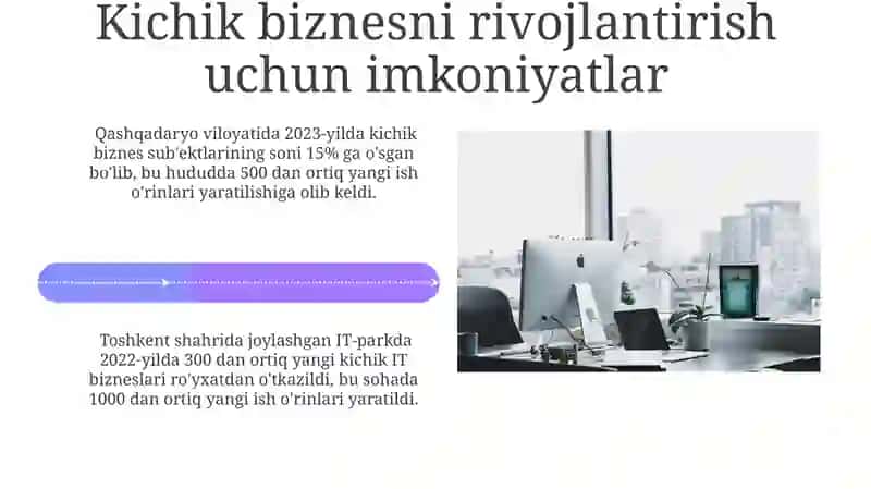 Kichik biznes va hususiy tadbirkorlikni rivojlantirishni mintaqaviy jihatlari 4