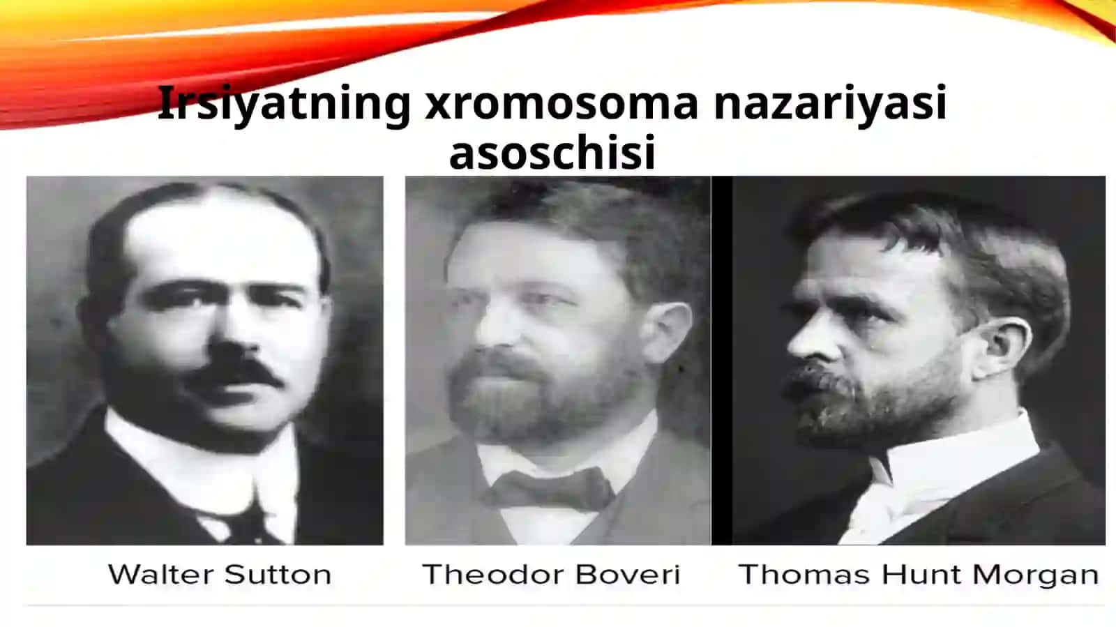 Irsiyatning xramosomanazariyasi 4