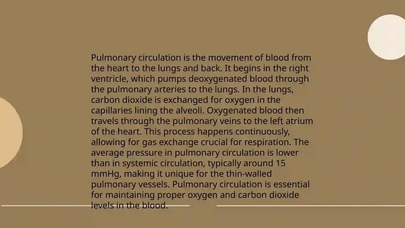 Lungs and a pulmonary system 4