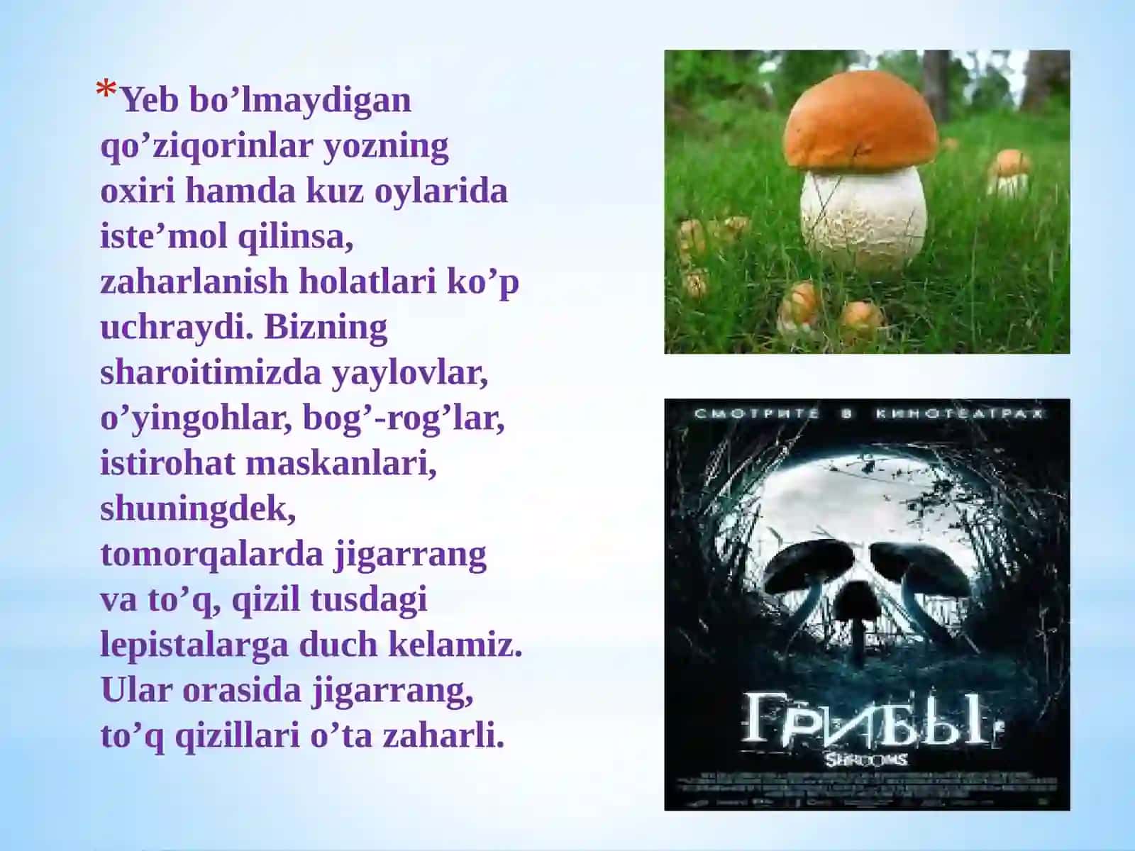 Qo‘ziqorinlardan zaharlanish 4