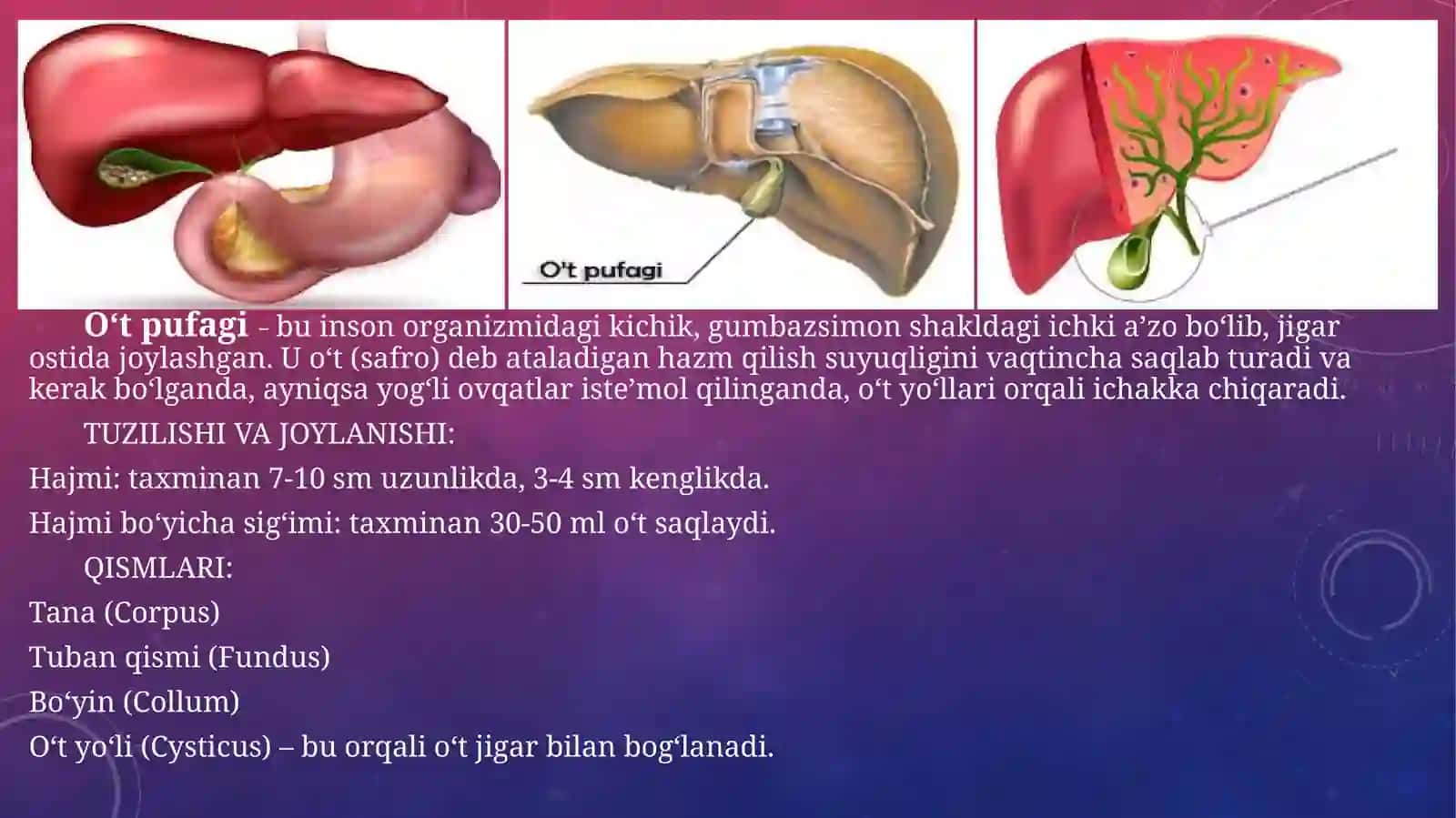 O‘tpu fagi haqida ma’lumot 4