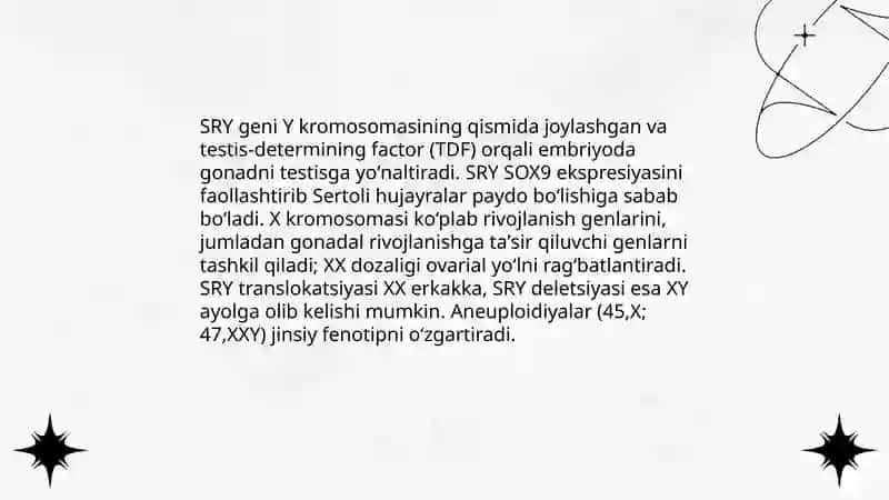 Jinsiy tizimning embriogenezi va unga ta'sir etuvchi omillar 4