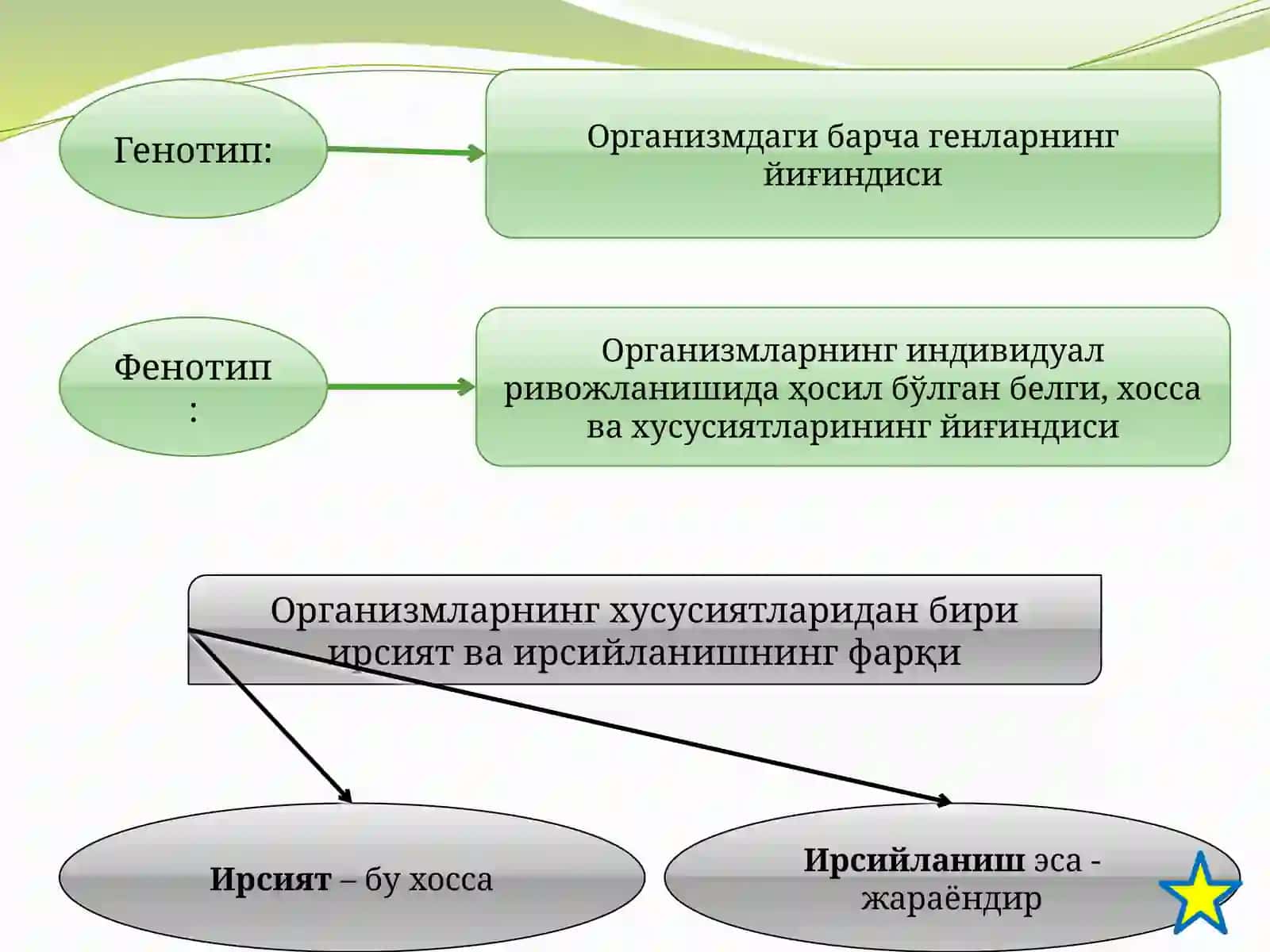 Умумий генетика асослари. Генотип, фенотип ва муҳит 4
