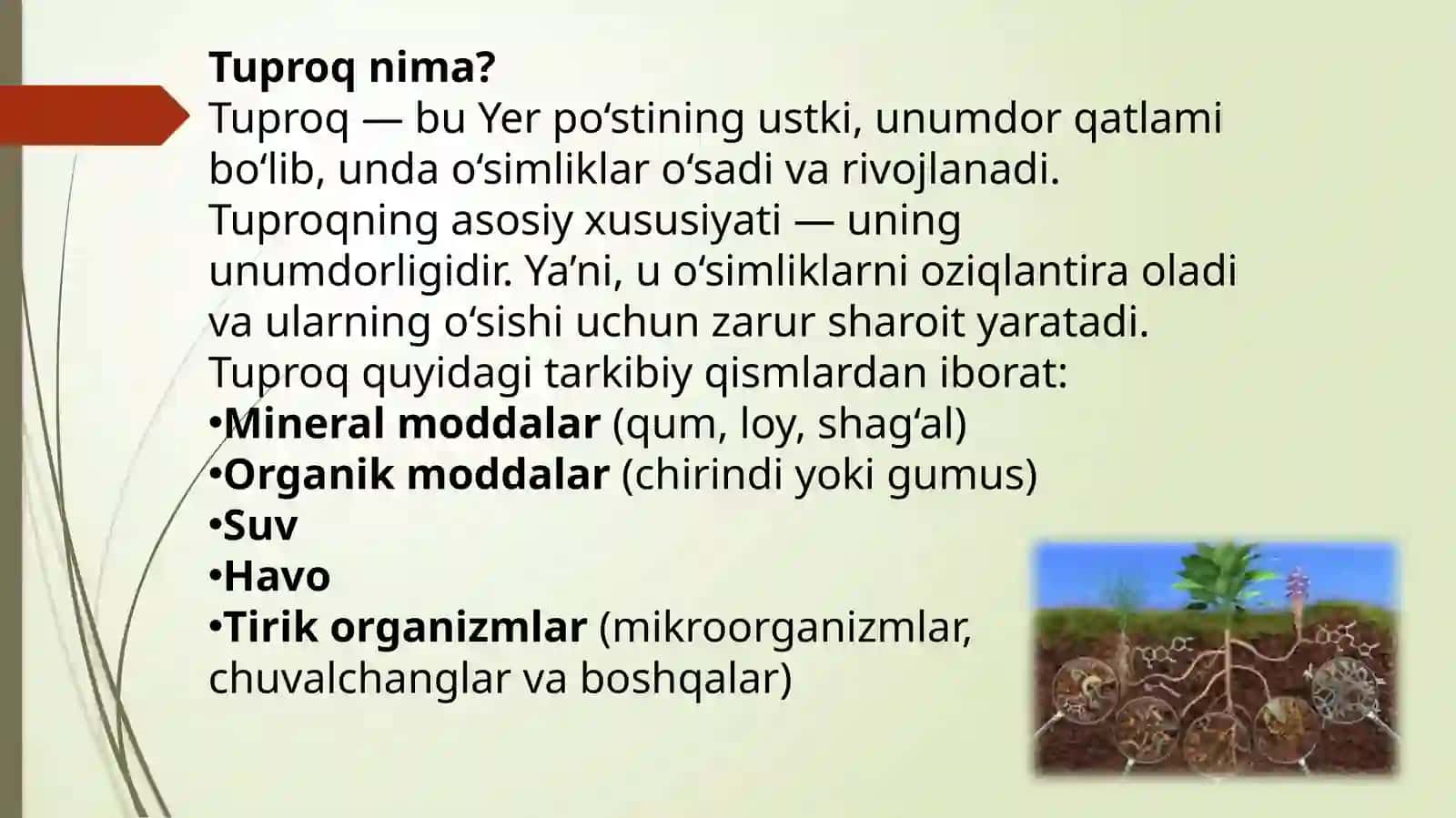 Tuproq turlari va uning ahamiyati 4