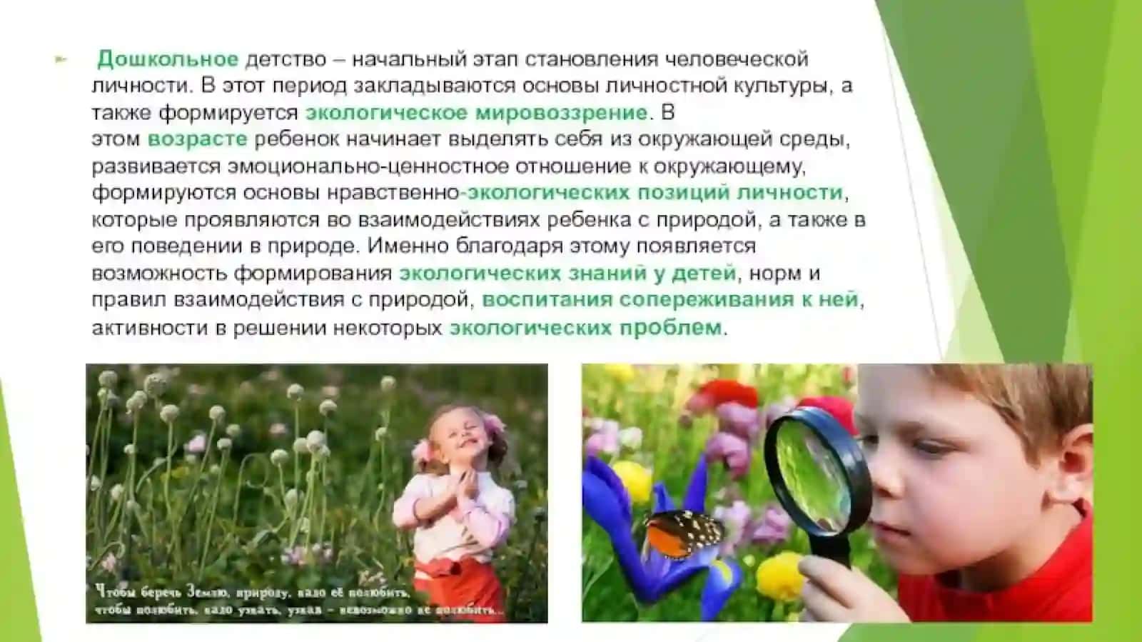 Наглядные пособия и их роль в экологическом воспитании детей 4