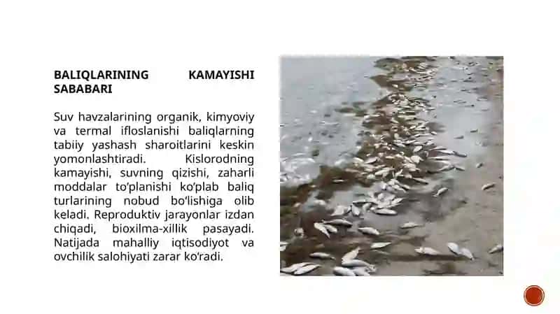 Suv resurslari ifloslanishining ekologik oqibatlari 4