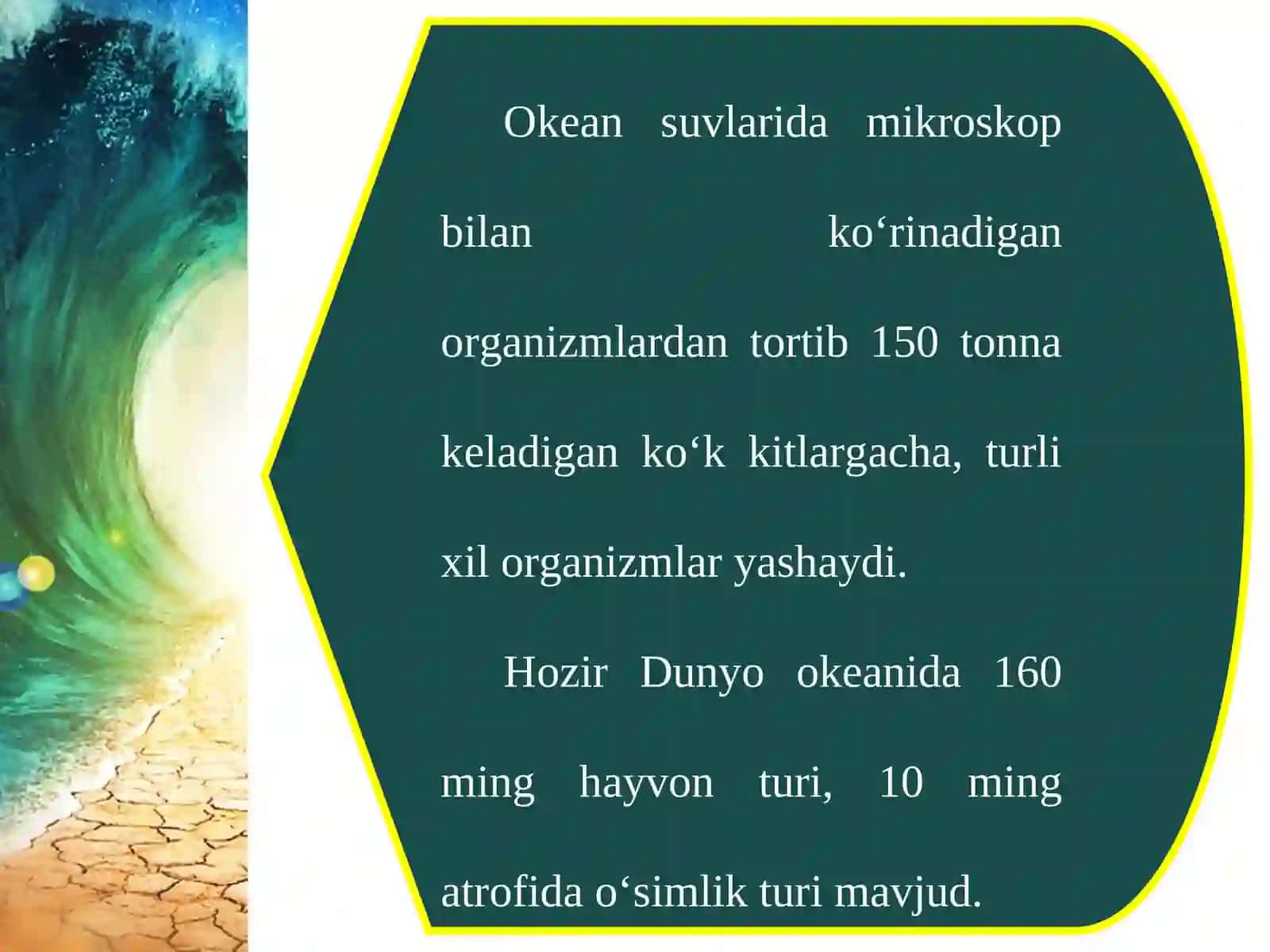 Okean boyliklari, ulardan foydalanish va muhofaza qilish 4
