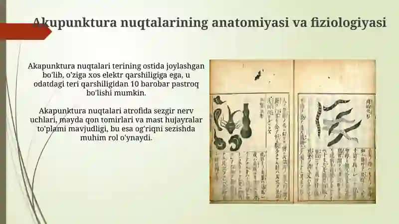 Akupunktura 4