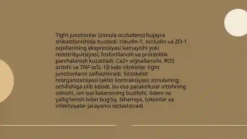Hujayra shikastlanishida hujayralararo munosabatlarning buzilishlari 4