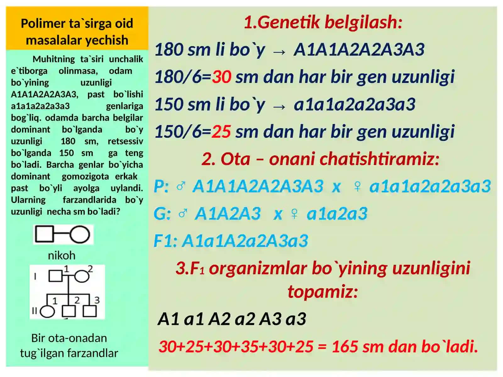 MAKTAB BIOLOGIYA FANI O`QITUVCHISI 4