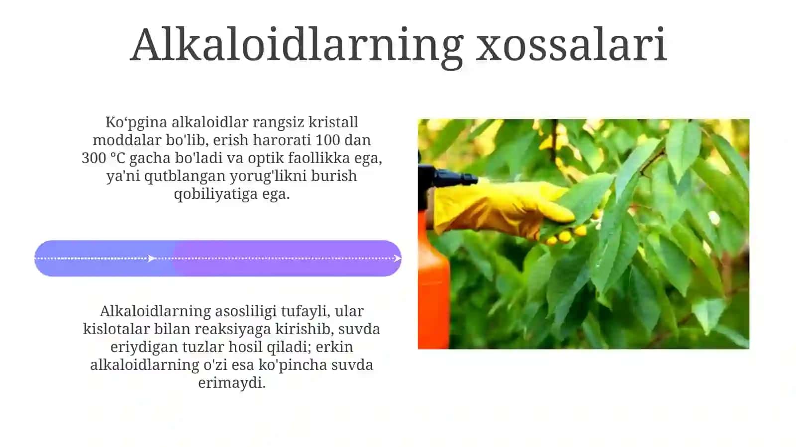 Alkaloidlarni aniqlash 4
