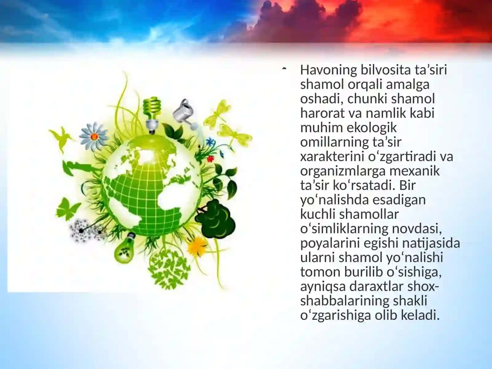 Quruqlik-havo muhiti 4