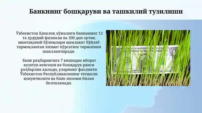 Agrobank 4