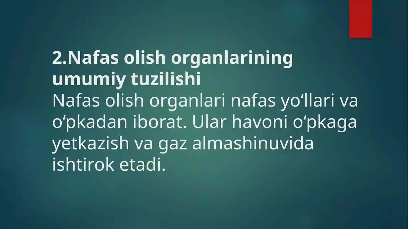 Nafas olish organlari tuzilishi, filogenezi va ahamiyati 4