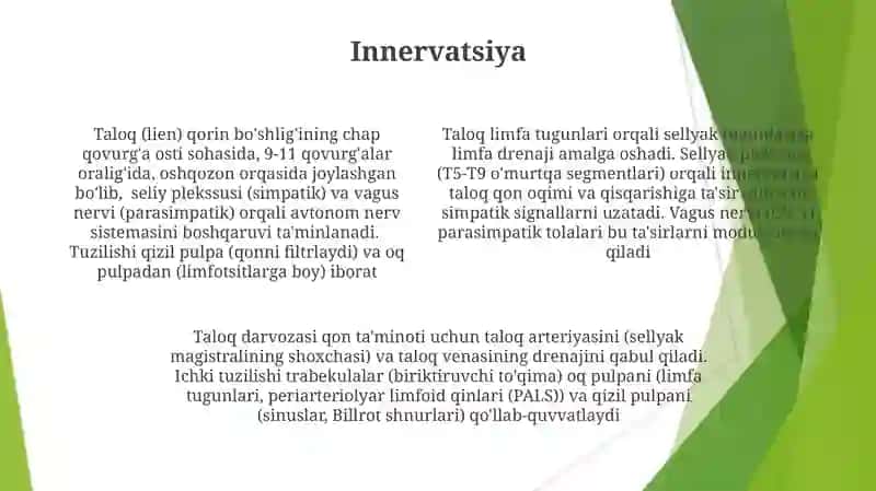 Taloqning tuzilishi va joylashuvi 4