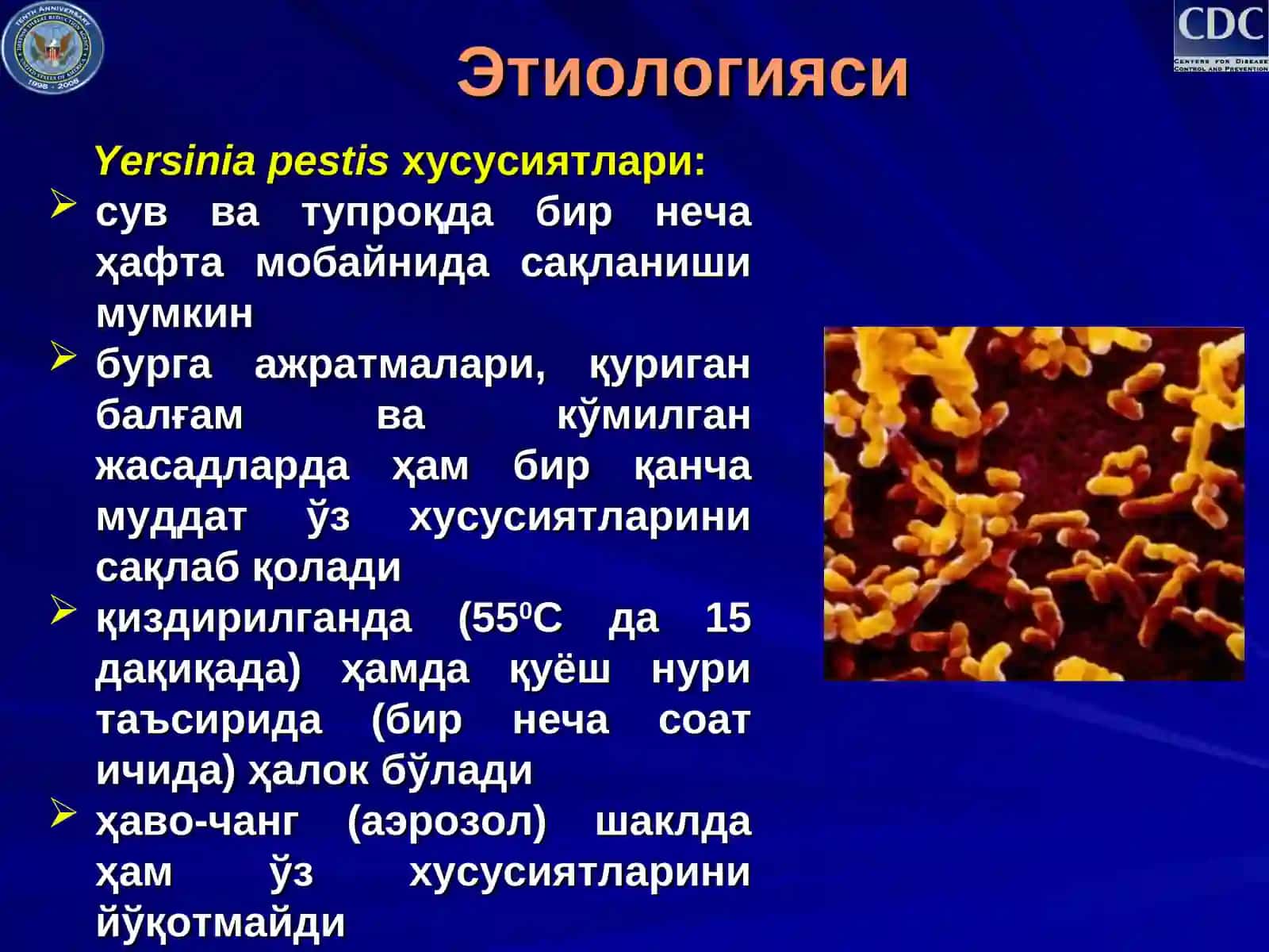 Ўлат(чума) 4