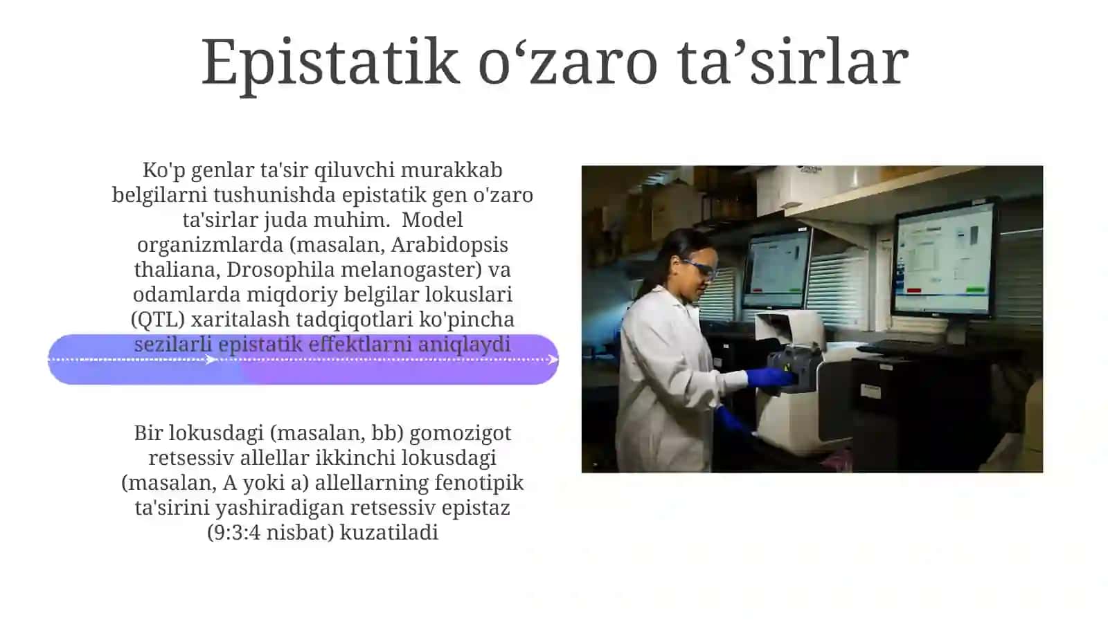 Epistaz, allel bo'lmagan genlarning o'zaro ta'siri, Mendelian nisbatlarni o'zgartiradi 4