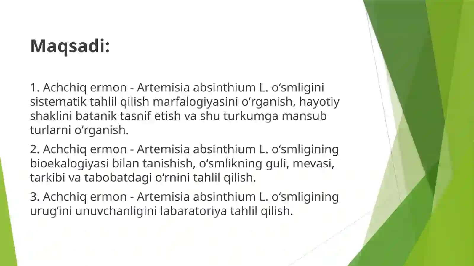 Achchiqermon(Польнгорькая) - ArtemisiaabsinthiumL.oʻsmligiurugʻinilabaratoriyatahlili 4