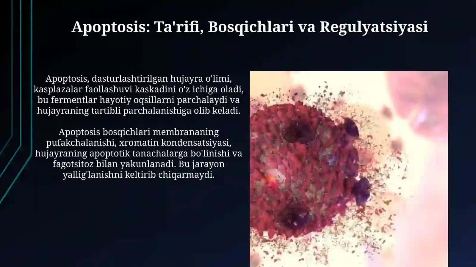 Nekroz: Ta'rifi, Turlari va Mexanizmlari 4