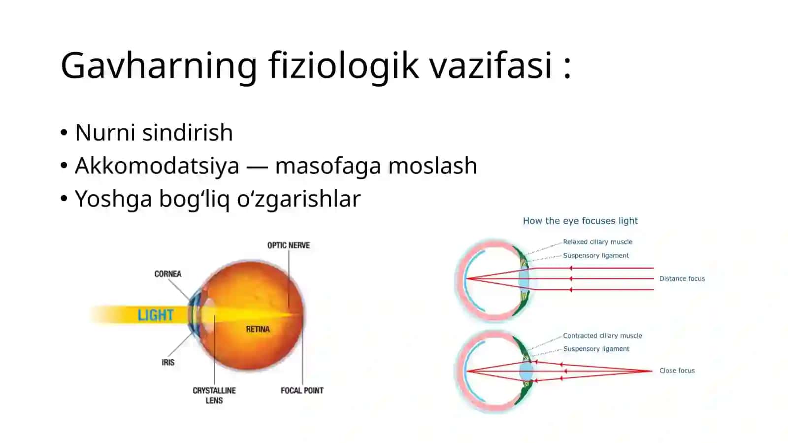 Gavhar kasalliklari.Davolash va tashxislash usullari. Afakiya 4