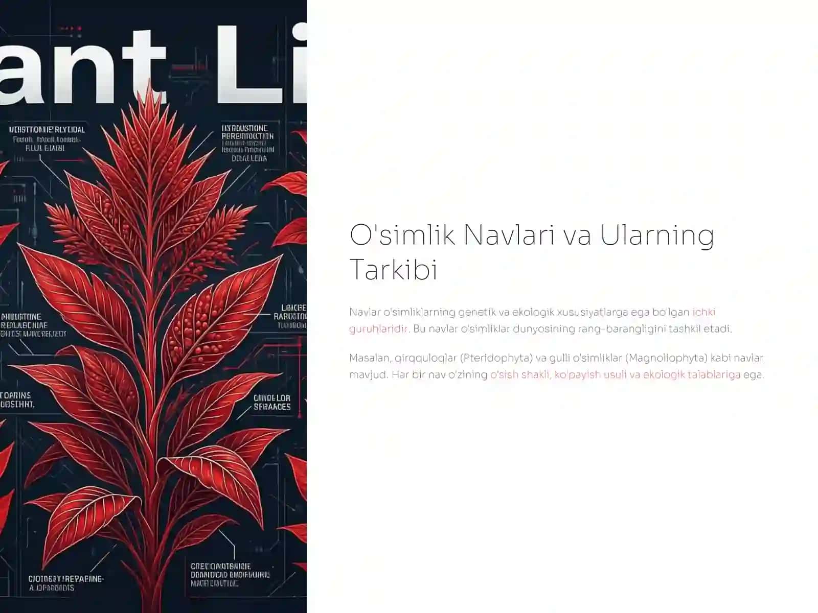 O'simliklarning Ekologo-Geografik Guruhlari va Navlarining Tarkibi 4